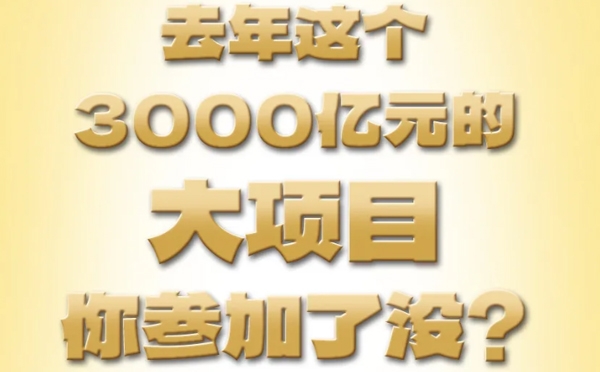 去年這個3000億元的大項目，你參加了沒？