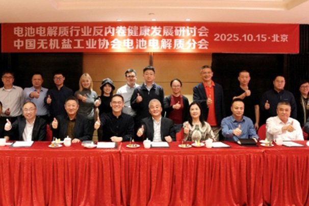 破局“內(nèi)卷”！電池電解質(zhì)行業(yè)健康發(fā)展研討會發(fā)布共同倡議
